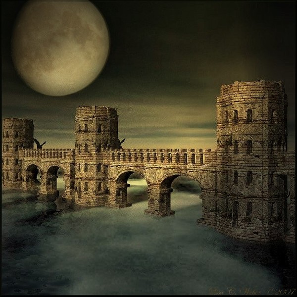 Foggy Moonlit Moors