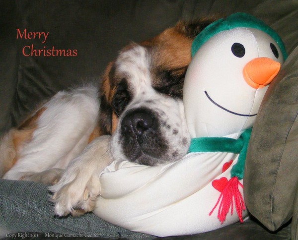 Freya's snow man