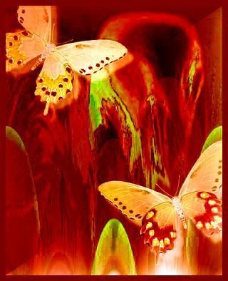 Butterflies Dream Too