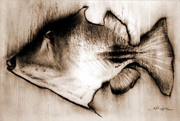 fish