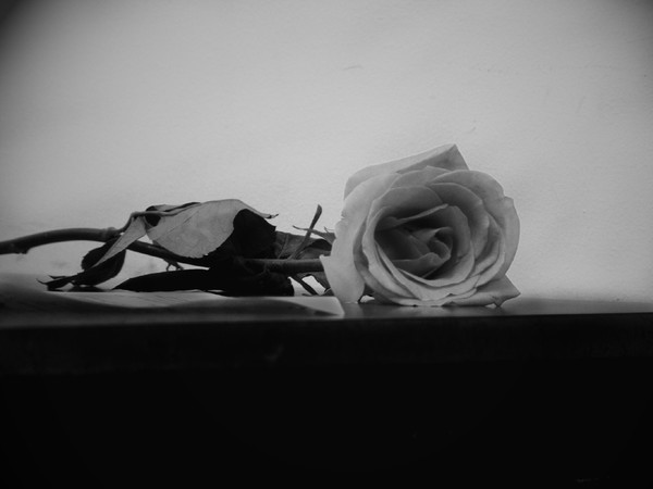 By any other name II