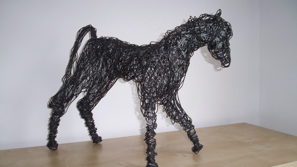 Arabian horse