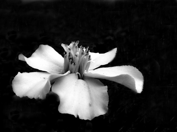 Light_and_shadow_3