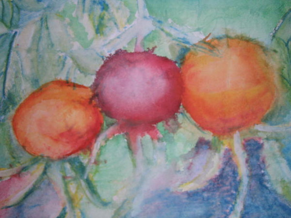 Rosehips
