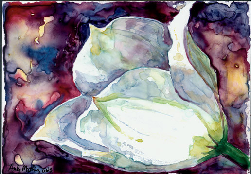 White Tulip on Yupo