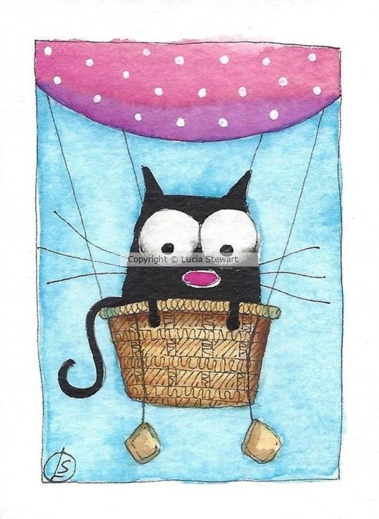 Hot Air Balloon