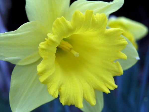 Spring has Sprung