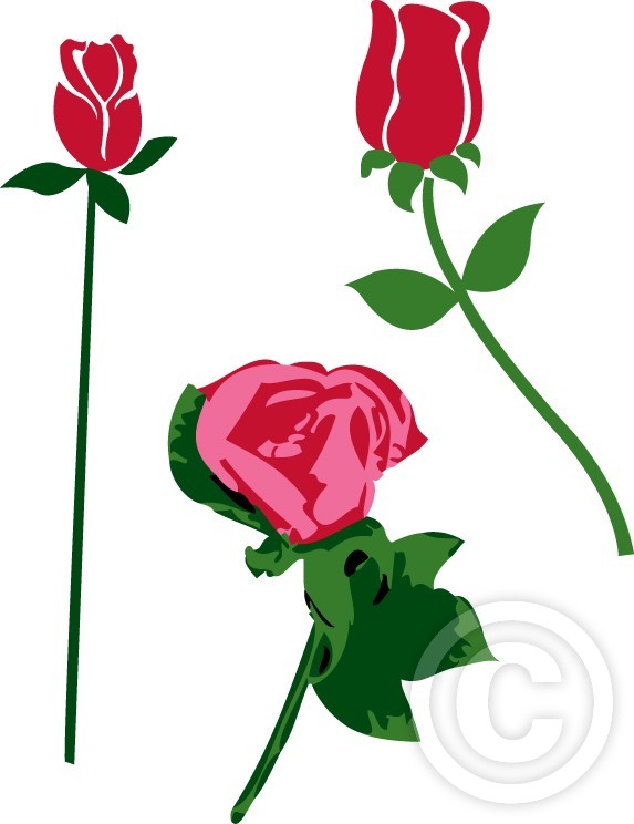 flower 1