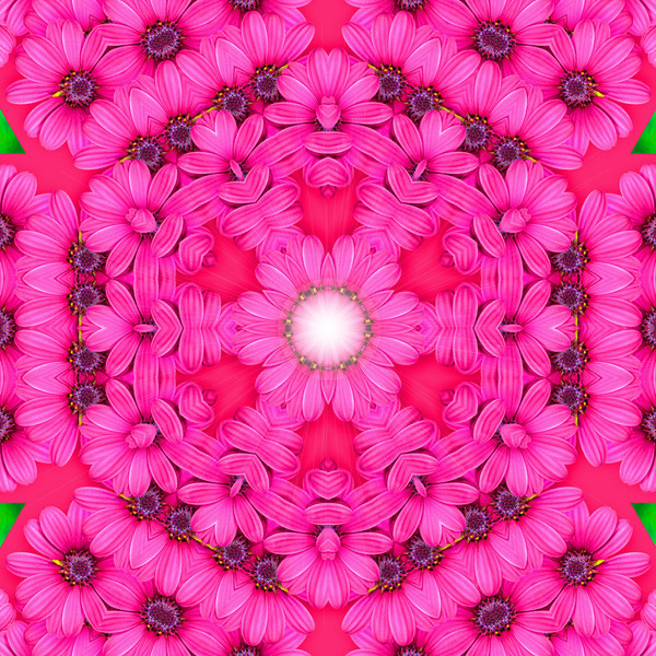 Pink Cosmos kalidiscope