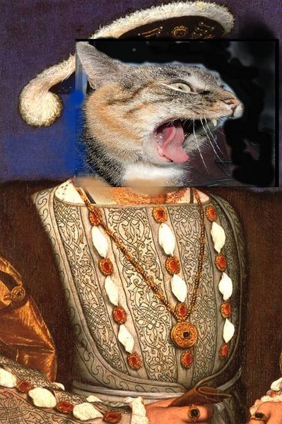 A cat on his 8th Life