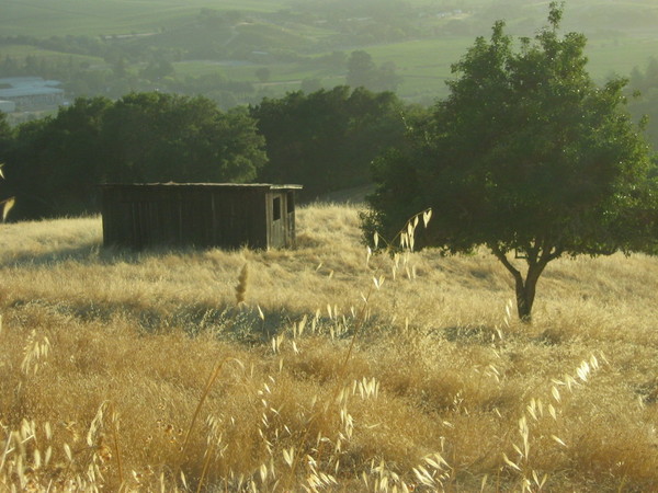 Old Barn