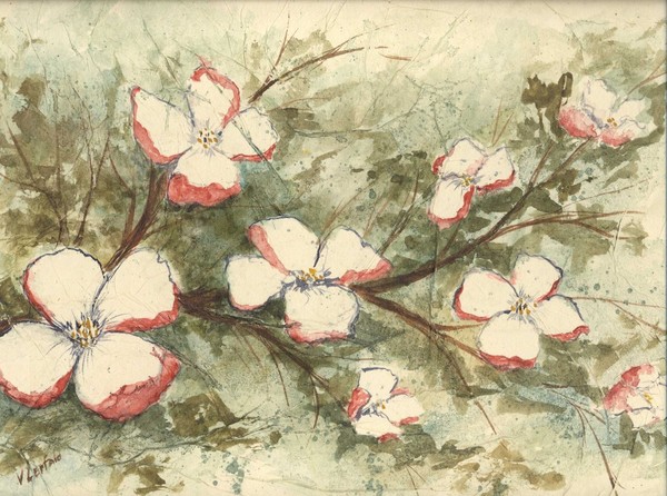 Blossoms