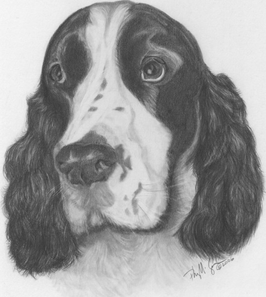 Rudy's Dog