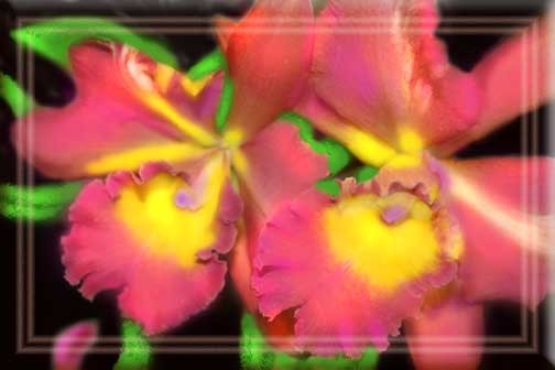 Daughters of Zion with Magenta Lipstick