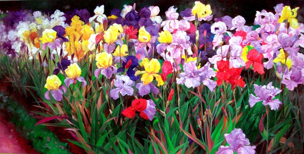 Iris party  