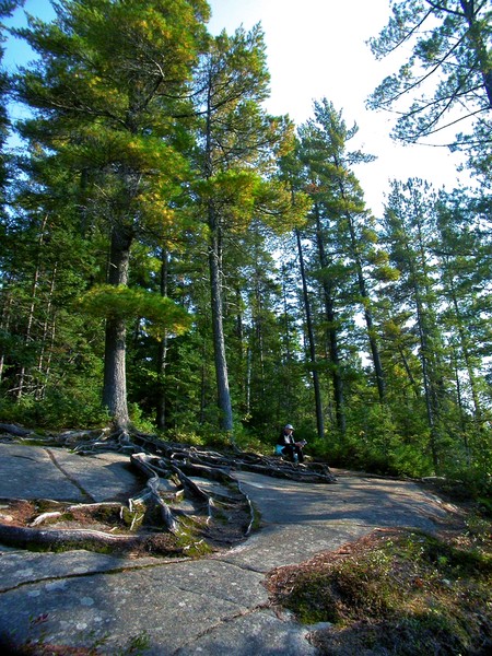 Algonquin Lookout