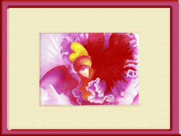 flor em detalhe (flowers details)