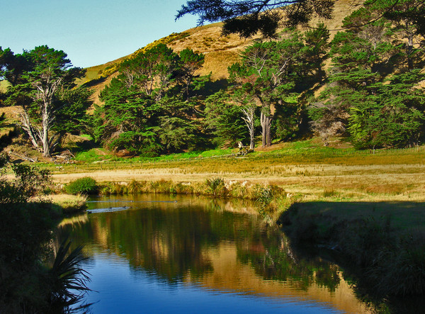 Makara stream