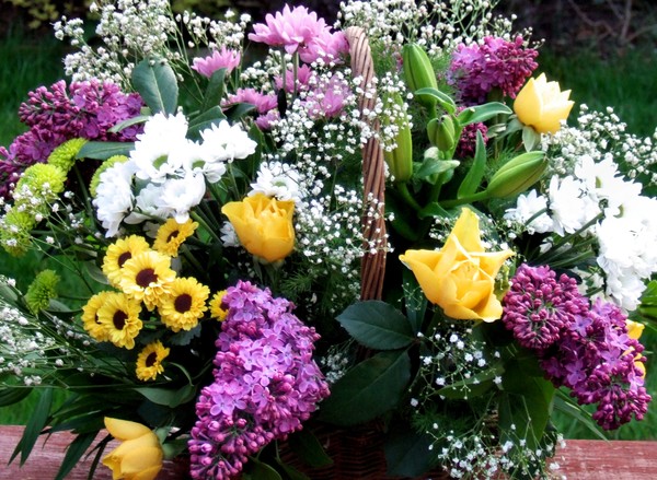 my flowers