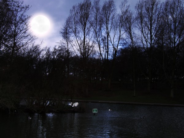 moonlight