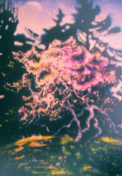Blooming Tree - 2
