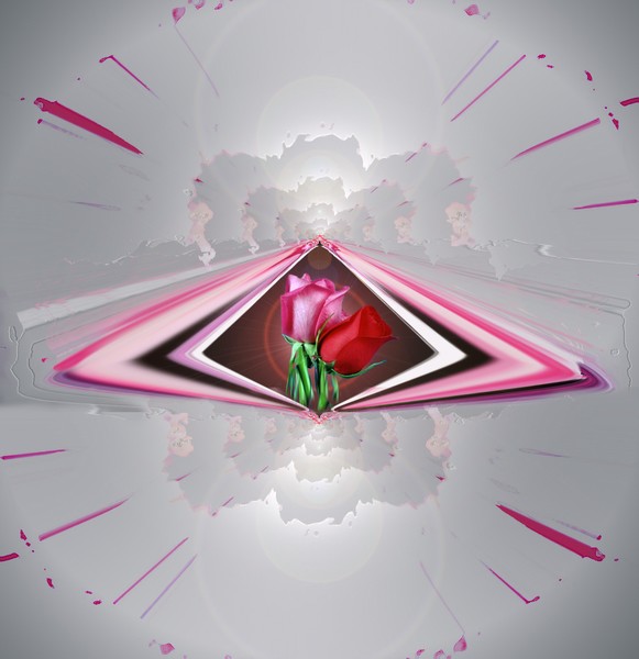 One single flower