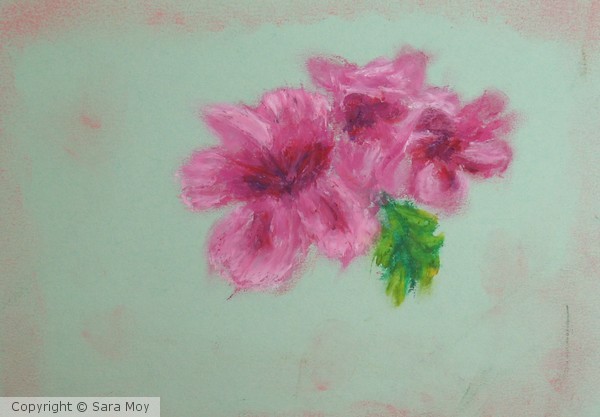 shades of pink