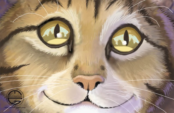 Cat Eyes