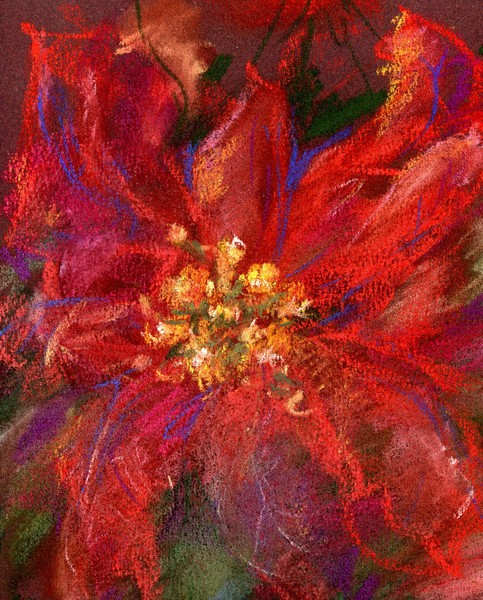December Flower