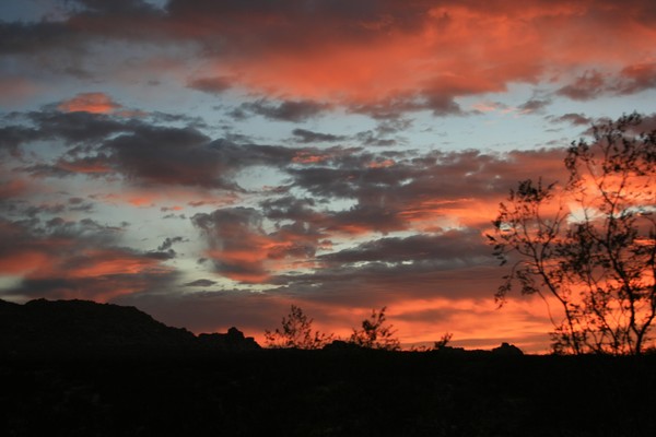 Morning Splendor