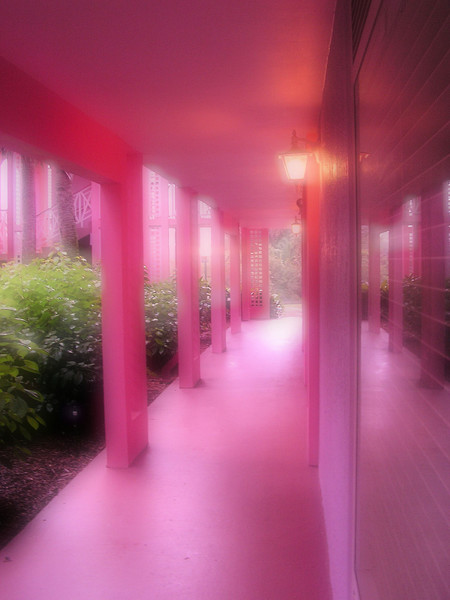 Pink Hallway