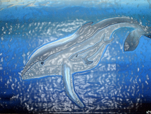 Whale Watching