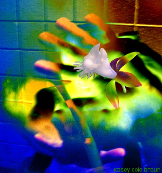 kc054 Vanilla Hands