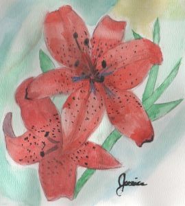 Tiger Lily