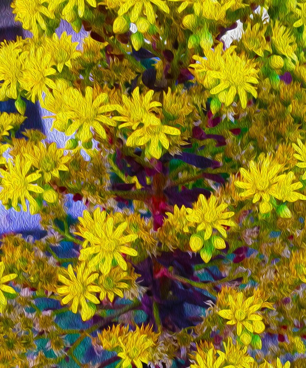 Branch of Beauty