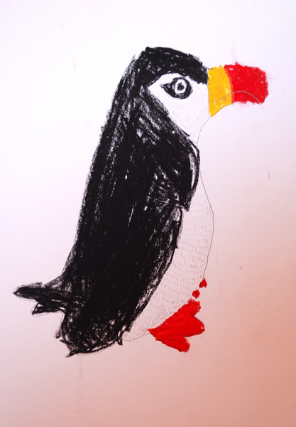 Puffin