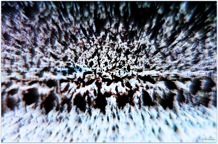 Ice-needles.