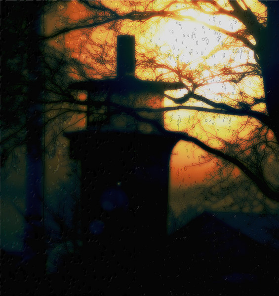 Winter Rain