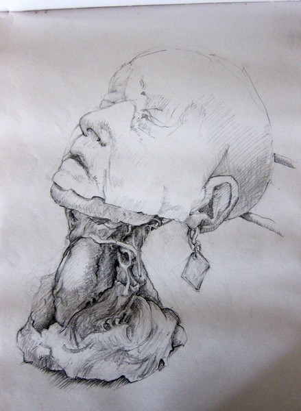 Autopsy Study HEAD