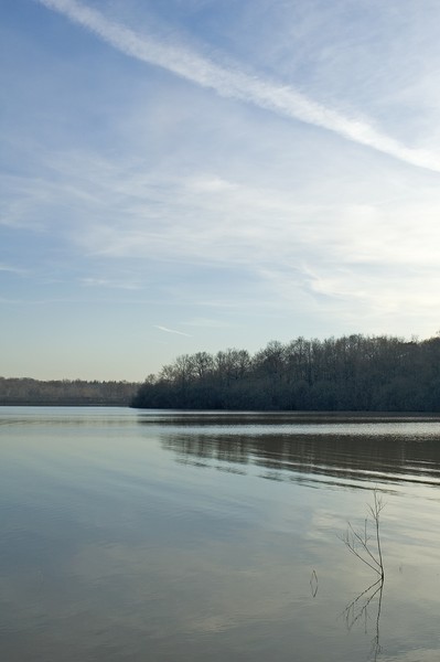 The lake