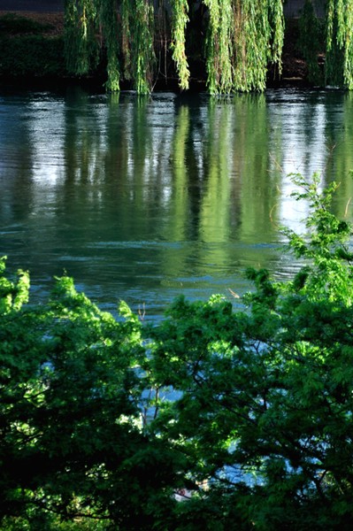 Spokane River Reflection 6614