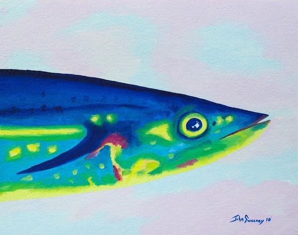 Mackrel Colors