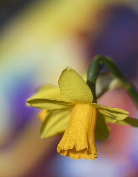 Spring has sprung!