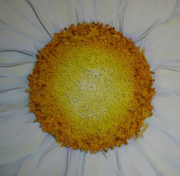 Daisy