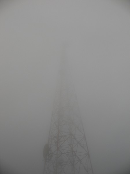 Lost in Transmission