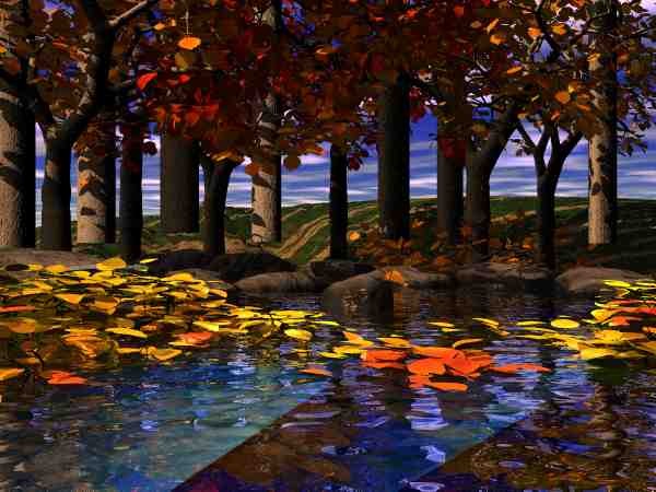 Fall Foliage