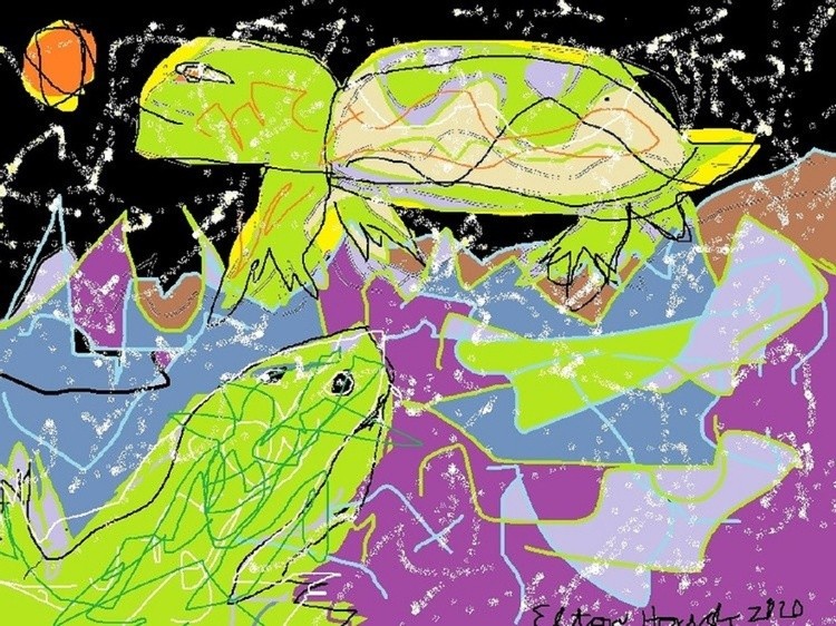 freak snowstorm in the Everglades...(c)..2020..ELTON HOUCK..digital..