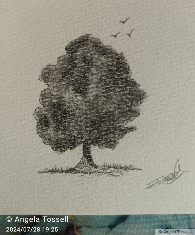 A tree 