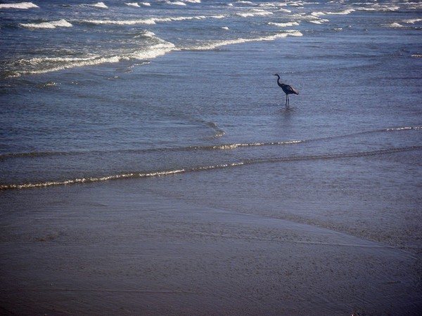 Being One With The Gulf - Watching