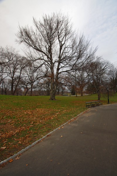 IMGP8474